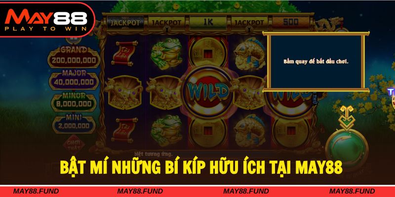 Hội viên nên chọn khung giờ vàng để tối ưu hiệu quả