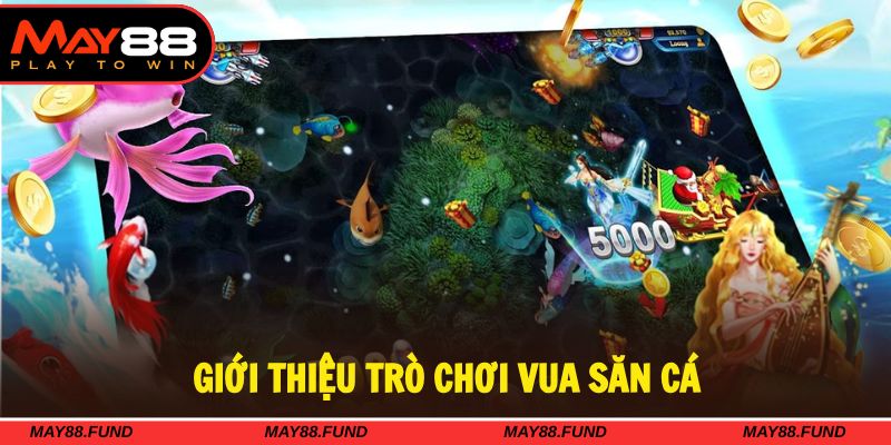 Vua săn cá là thể loại game yêu thích nhất tại nhà cái